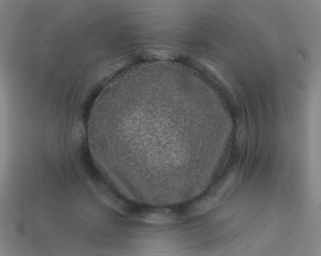 X0000114120459200910191727