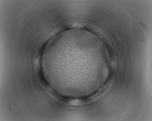 X0000114120460200910191727