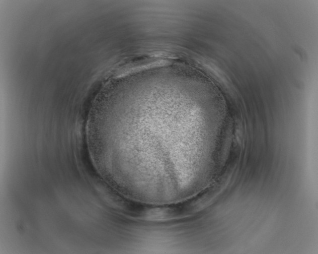 X0000114120461200910191727