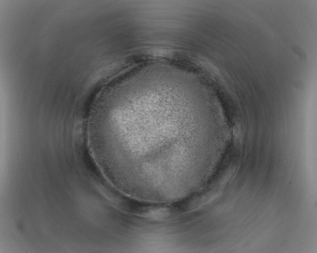 X0000114120462200910191727