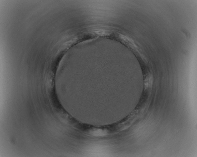 X0000114120464200910191727