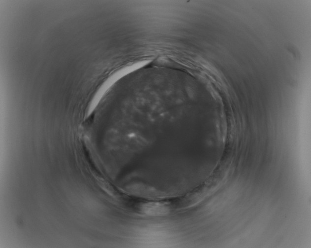 X0000114120465200910191727