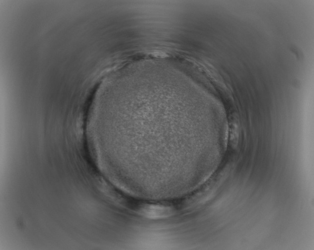 X0000114120466200910191727