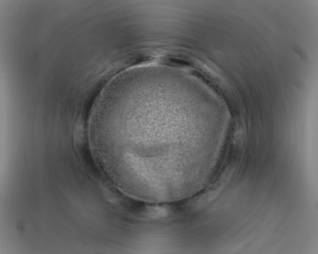 X0000114120469200910191727