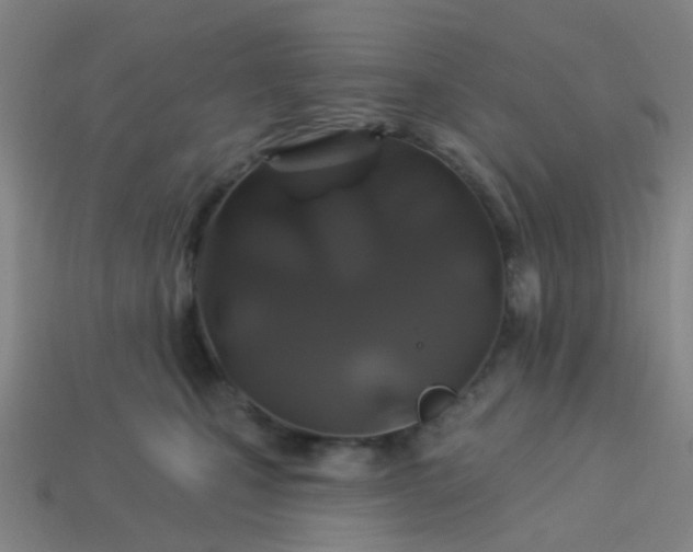 X0000114120471200910191727