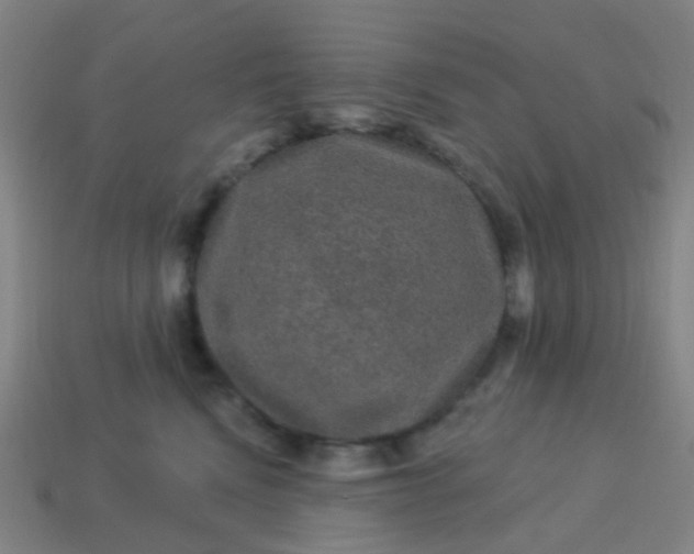 X0000114120472200910191727