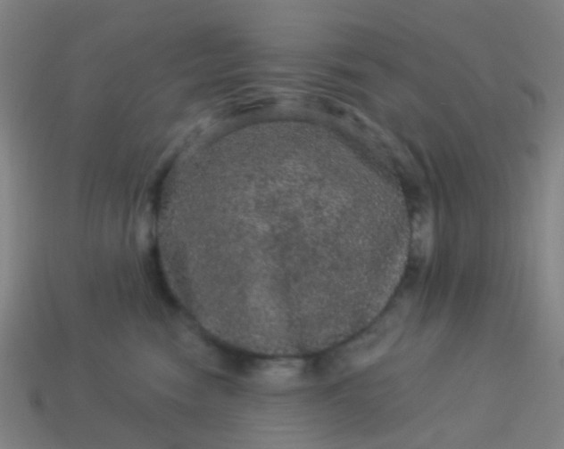 X0000114120474200910191727