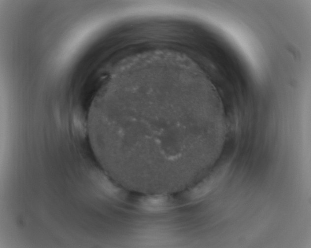 X0000114120479200910191727