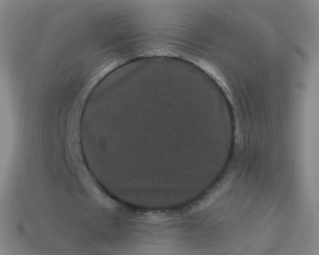 X0000114120481200910191726