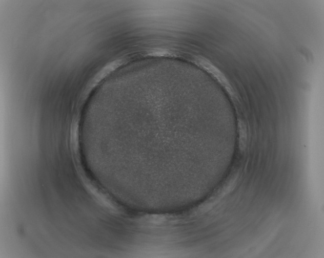 X0000114120482200910191726