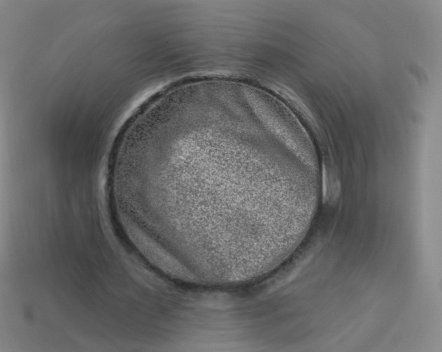 X0000114120483200910191726