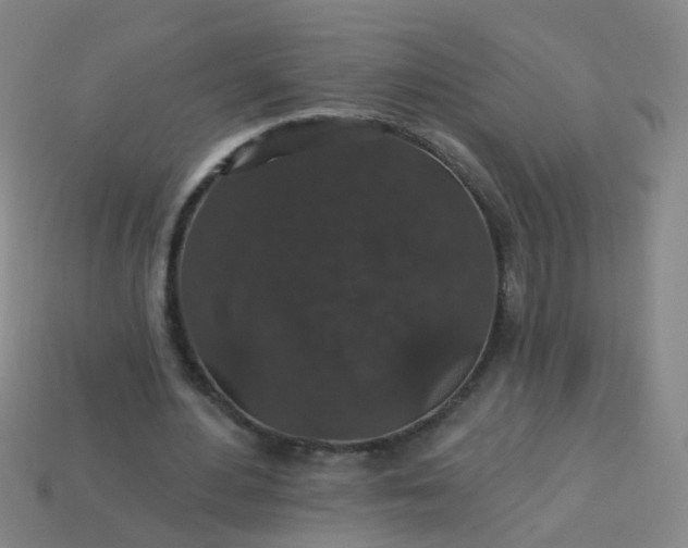 X0000114120484200910191726