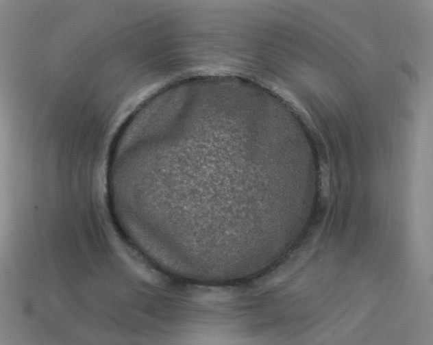 X0000114120486200910191726