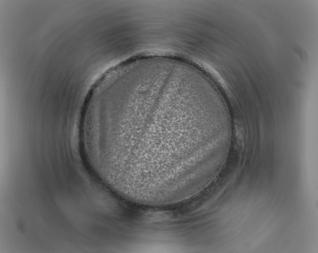 X0000114120487200910191726