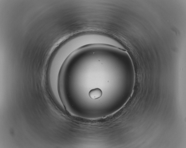 X0000114120488200910191726