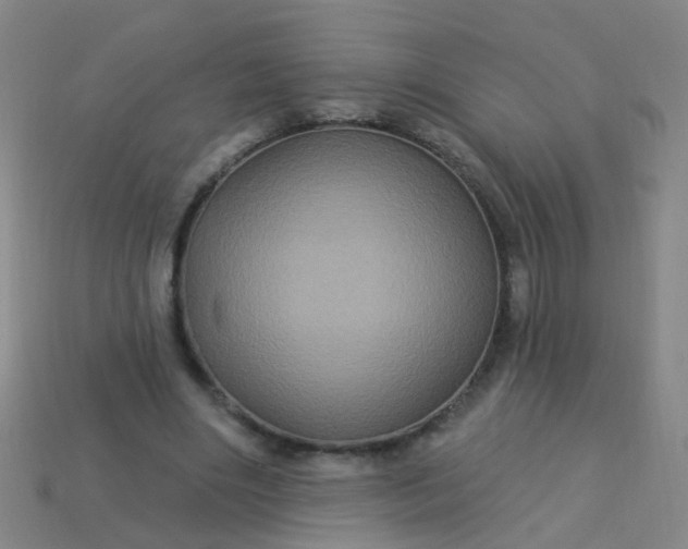 X0000114120490200910191726