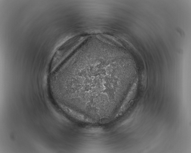 X0000114120491200910191726