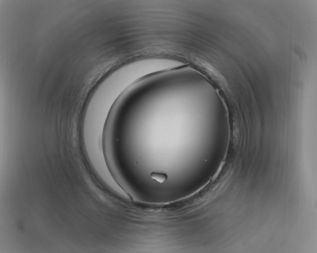 X0000114120493200910191726