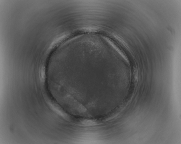 X0000114120494200910191726