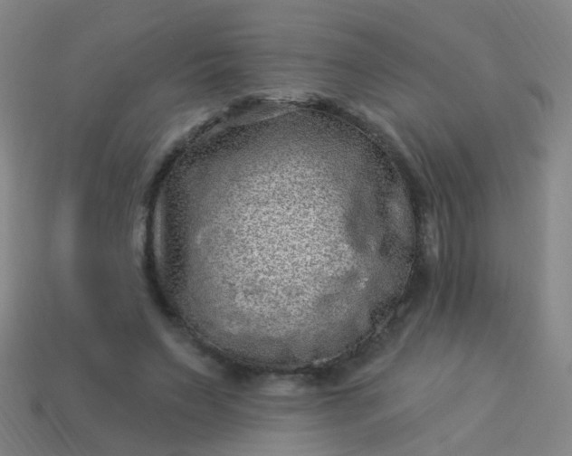 X0000114120495200910191726