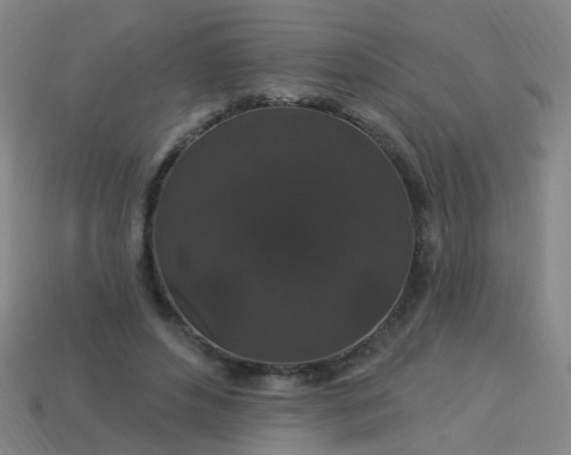 X0000114120496200910191726