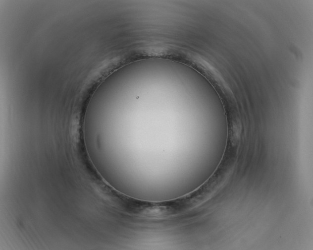 X0000114120497200910191726