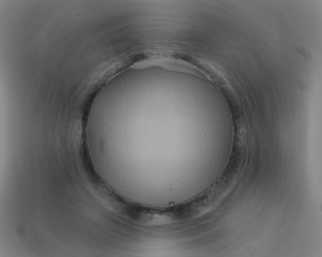 X0000114120498200910191726