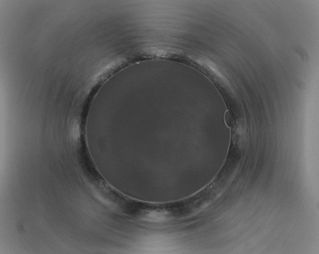 X0000114120500200910191726