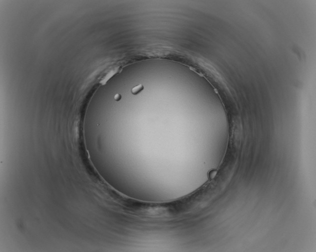 X0000114120501200910191726