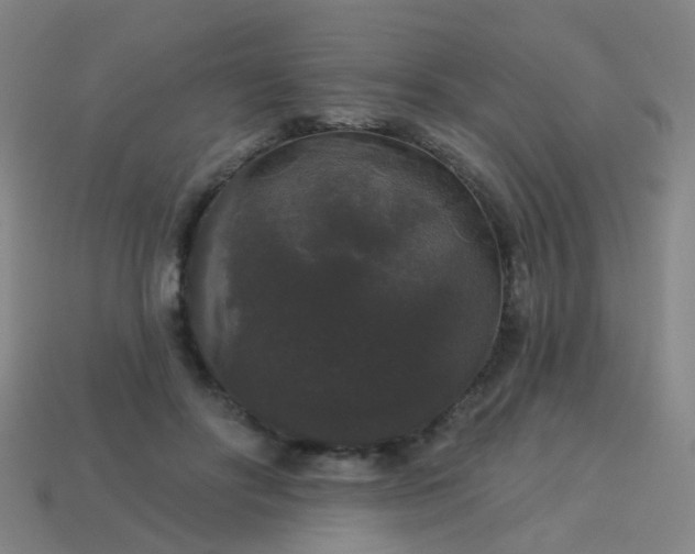 X0000114120502200910191726