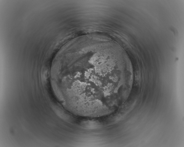 X0000114120503200910191726