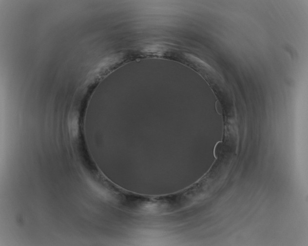 X0000114120504200910191726