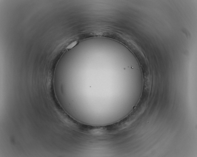 X0000114120505200910191726