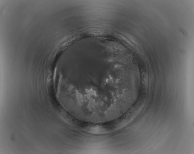 X0000114120507200910191726