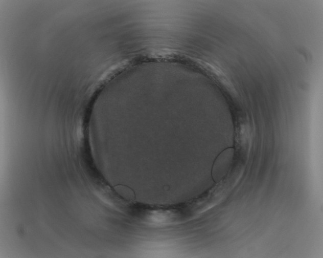 X0000114120508200910191726