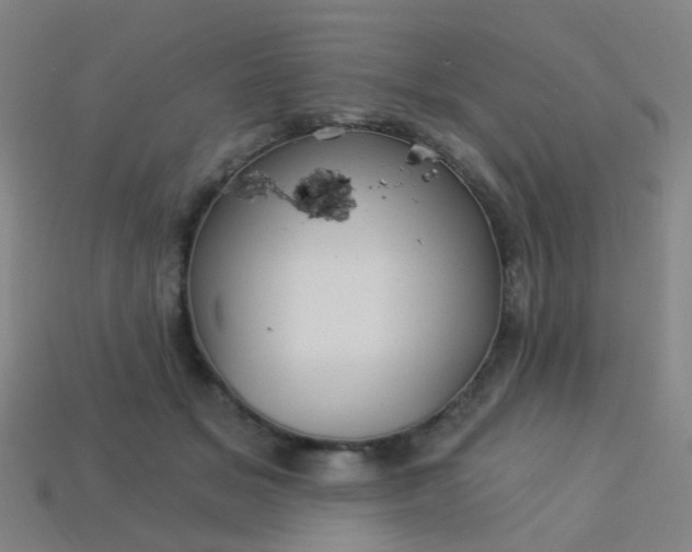 X0000114120509200910191726