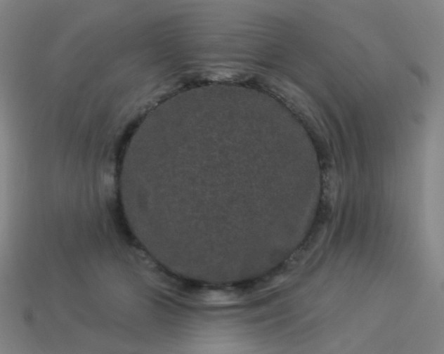 X0000114120510200910191726