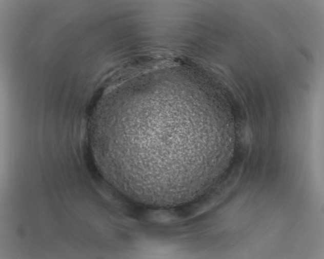 X0000114120511200910191726