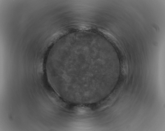 X0000114120512200910191726