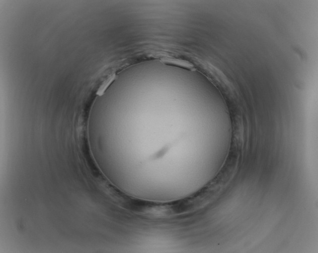 X0000114120513200910191726