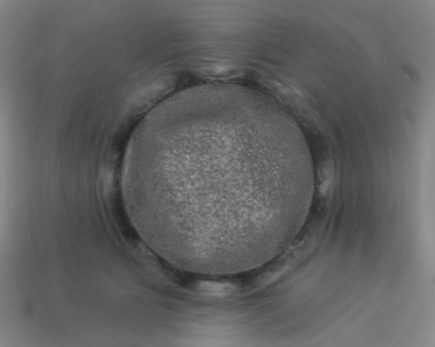 X0000114120515200910191726