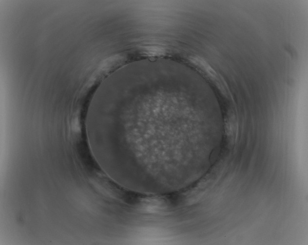 X0000114120516200910191726