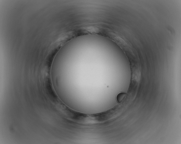 X0000114120518200910191726