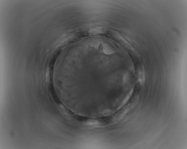 X0000114120519200910191726