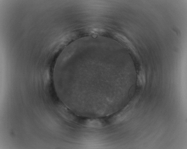 X0000114120520200910191726