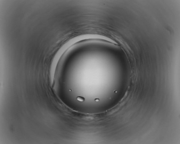 X0000114120521200910191726