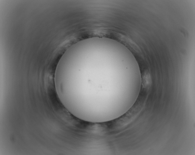 X0000114120522200910191726