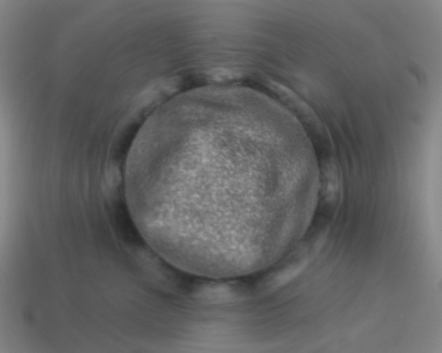 X0000114120523200910191726