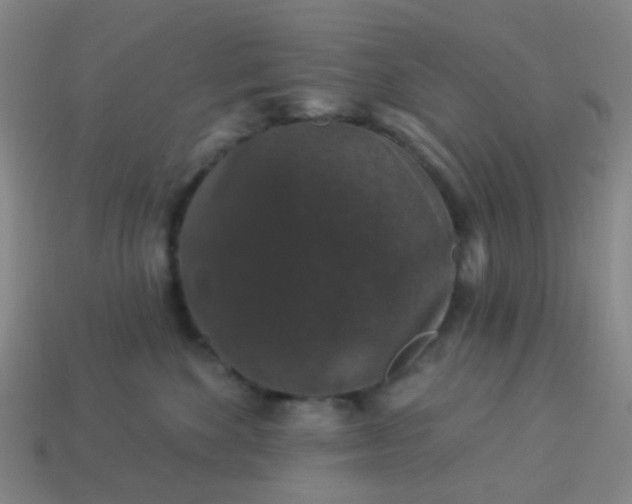 X0000114120524200910191726