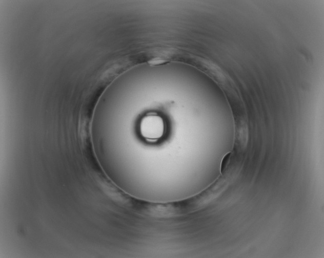 X0000114120525200910191726